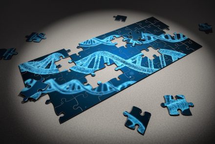 L'importance de faire un test ADN