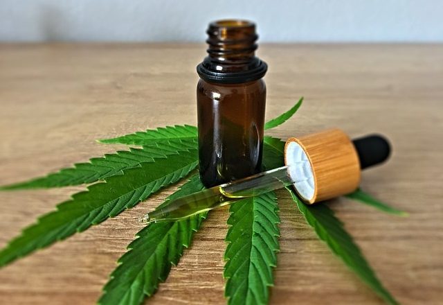 Terpènes et flavonoïdes pourquoi le cannabis a une odeur et un goût si particuliers